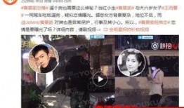 爆料视频大结局在线观看,揭秘真相，悬念揭晓！